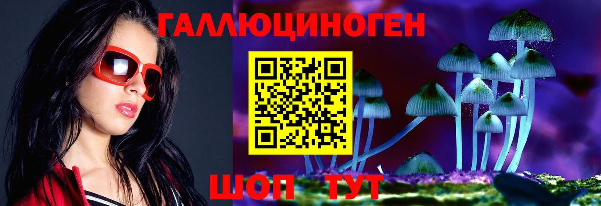 Галлюциногенные грибы Cubensis Выкса